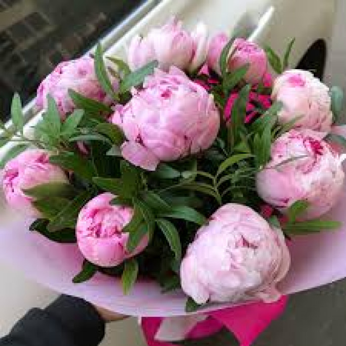 Пион древовидный в Кызылорде