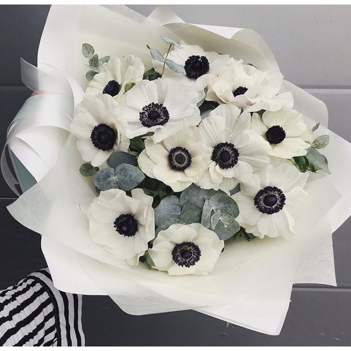 Анемоны в Кызылорде