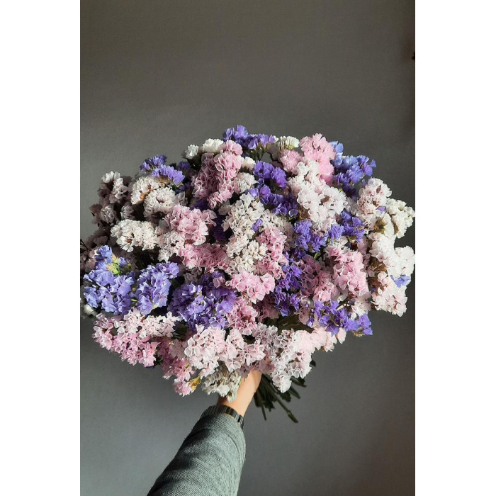 Статица (Лимониум) в Кызылорде