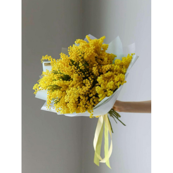 Мимоза в Кызылорде