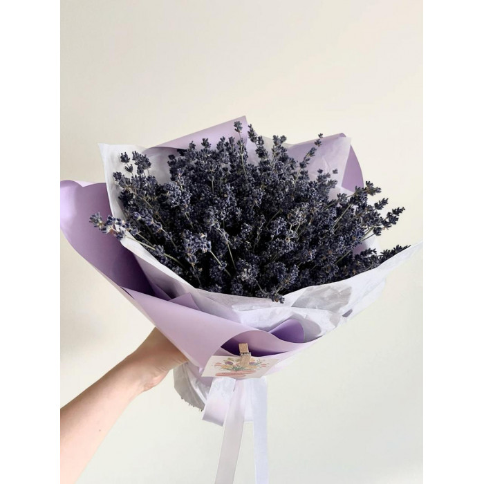 Лаванда в Кызылорде