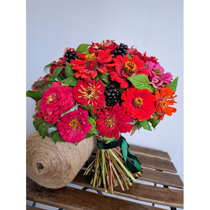 Циния в Кызылорде