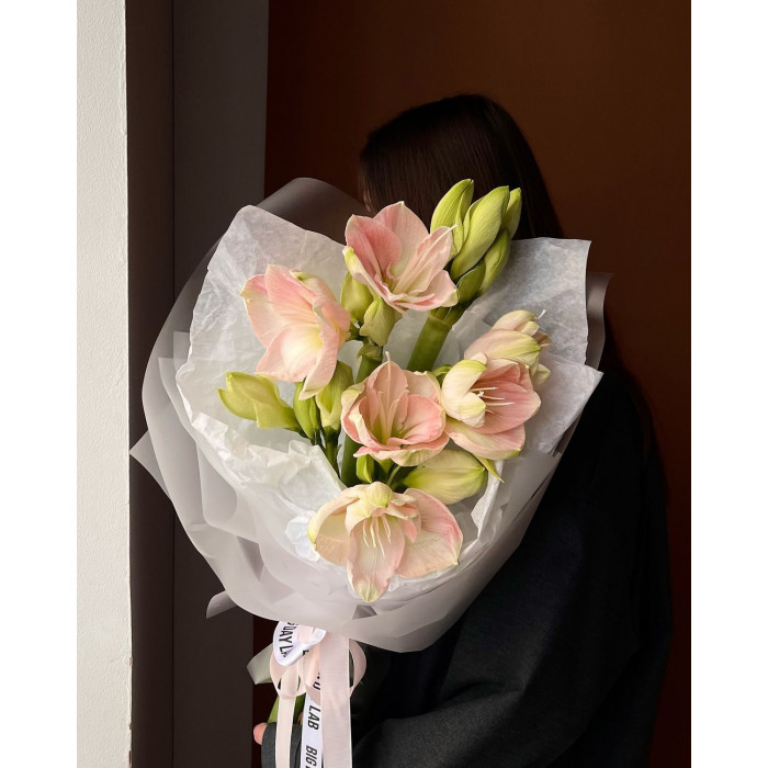 Амариллис в Кызылорде