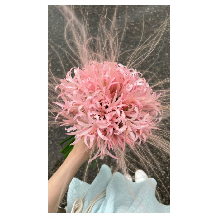 Нерине в Кызылорде