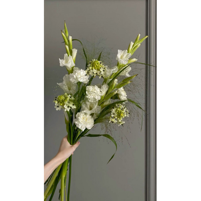 Орнитогалум в Кызылорде