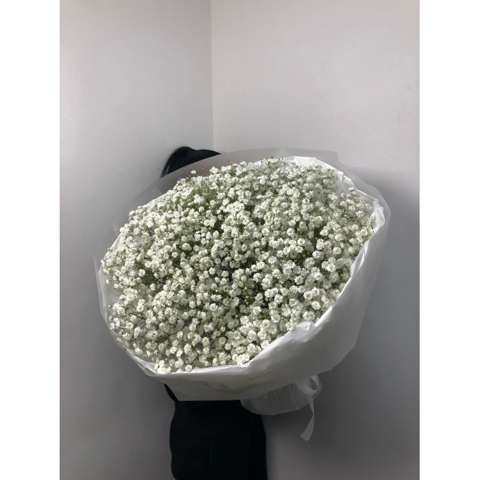 Гипсофила классическая в Кызылорде