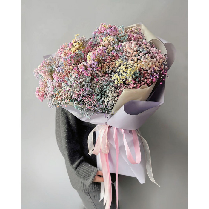 Гипсофила цветная в Кызылорде