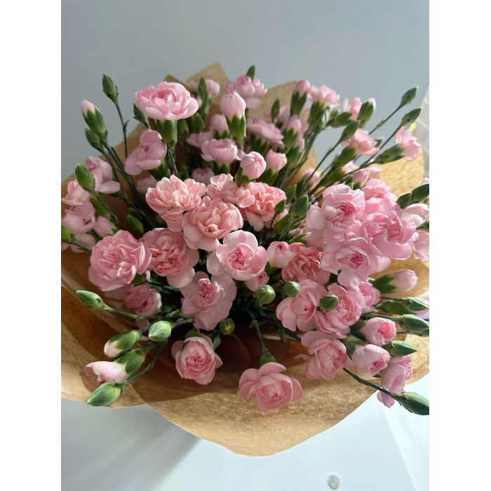 Кустовые гвоздики в Кызылорде