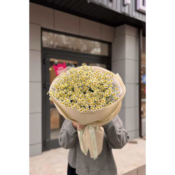 Танацетум в Кызылорде