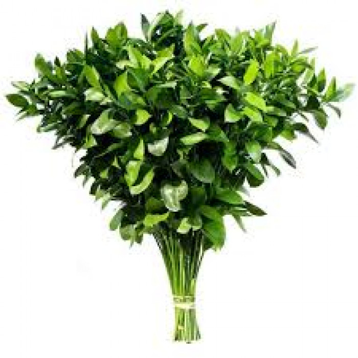 Рускус в Кызылорде